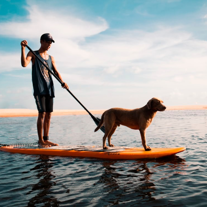 https://cdn11.bigcommerce.com/s-8yxoh6lp1a/images/stencil/original/image-manager/winter-springs-fl/Paddle Board Website Image-720x720.png?v=1775820658000